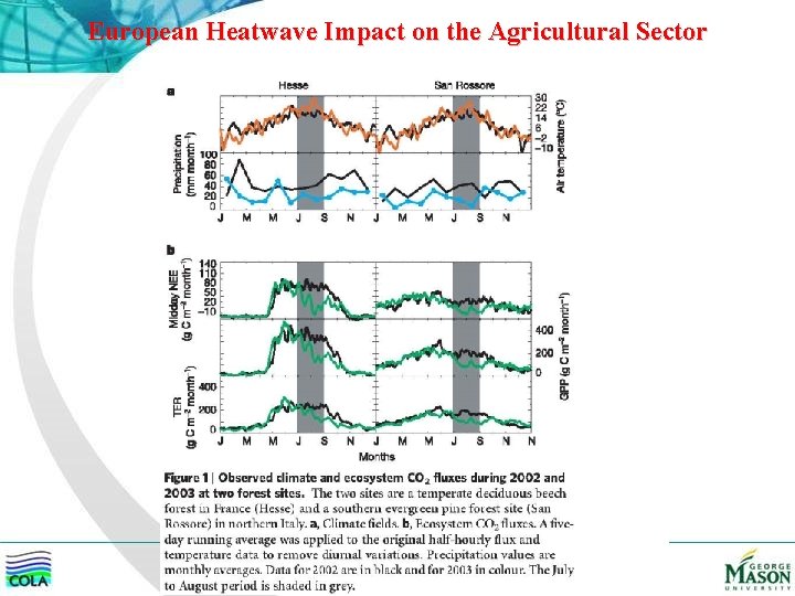 European Heatwave Impact on the Agricultural Sector 