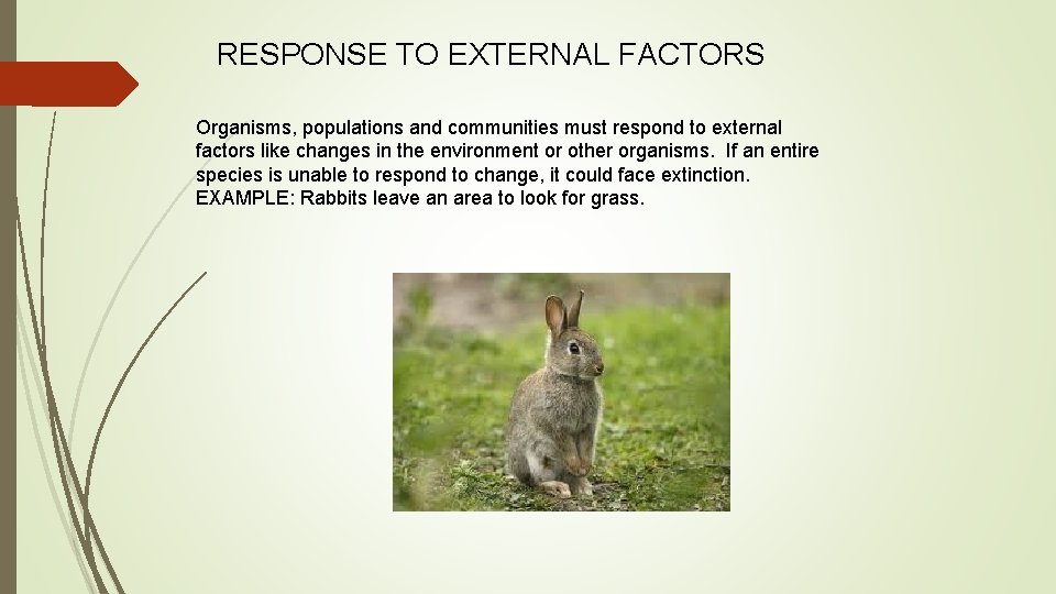 RESPONSE TO EXTERNAL FACTORS Organisms, populations and communities must respond to external factors like