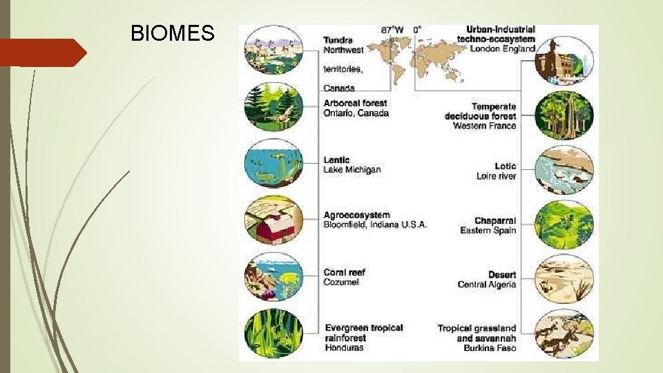 BIOMES 