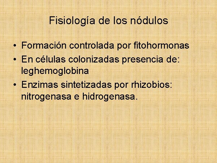 Fisiología de los nódulos • Formación controlada por fitohormonas • En células colonizadas presencia