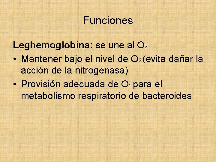 Funciones Leghemoglobina: se une al O 2 • Mantener bajo el nivel de O