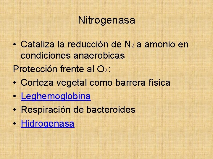 Nitrogenasa • Cataliza la reducción de N 2 a amonio en condiciones anaerobicas Protección