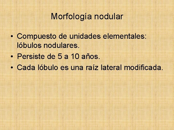 Morfología nodular • Compuesto de unidades elementales: lóbulos nodulares. • Persiste de 5 a