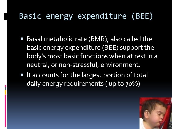 Basic energy expenditure (BEE) Basal metabolic rate (BMR), also called the basic energy expenditure