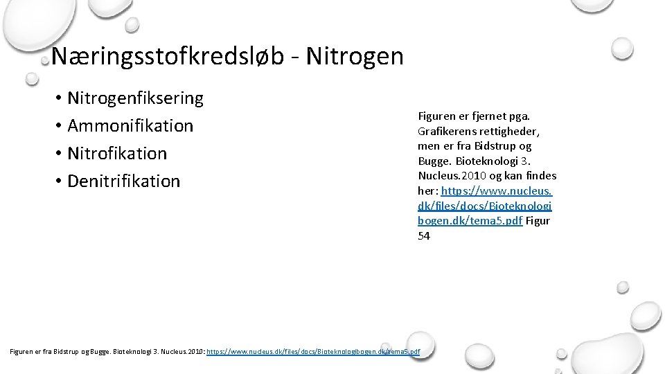Næringsstofkredsløb - Nitrogen • Nitrogenfiksering • Ammonifikation • Nitrofikation • Denitrifikation Figuren er fjernet