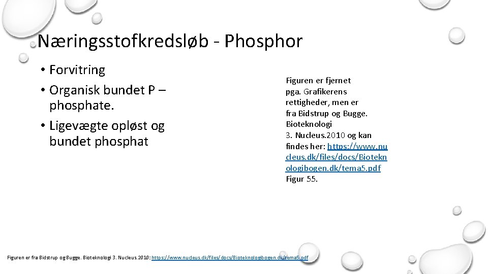 Næringsstofkredsløb - Phosphor • Forvitring • Organisk bundet P – phosphate. • Ligevægte opløst