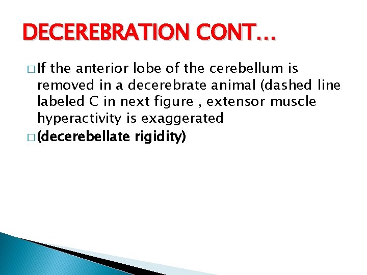 DECEREBRATION CONT… � If the anterior lobe of the cerebellum is removed in a
