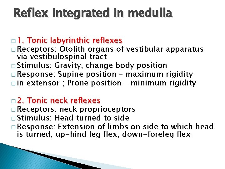 Reflex integrated in medulla � 1. Tonic labyrinthic reflexes � Receptors: Otolith organs of