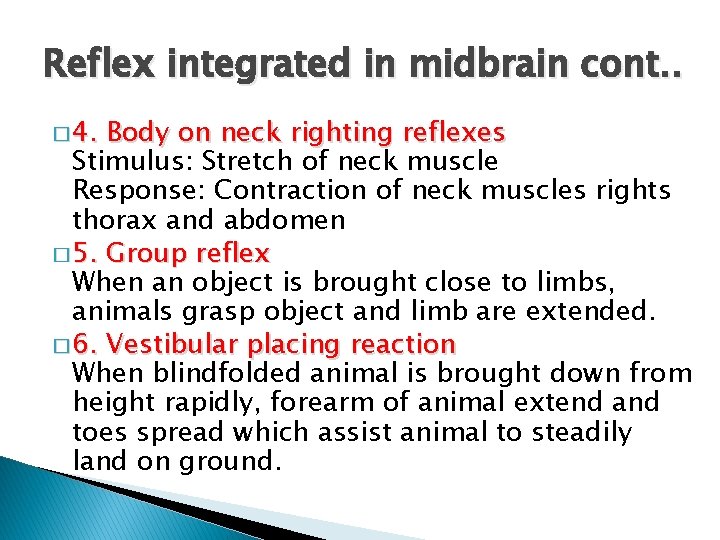 Reflex integrated in midbrain cont. . � 4. Body on neck righting reflexes Stimulus: