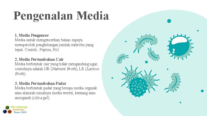 Pengenalan Media 1. Media Pengencer Media untuk mengencerkan bahan supaya memperoleh penghitungan jumlah mikroba