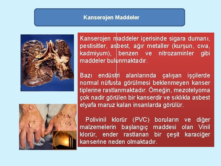 Kanserojen Maddeler Kanserojen maddeler içerisinde sigara dumanı, pestisitler, asbest, ağır metaller (kurşun, cıva, kadmiyum),