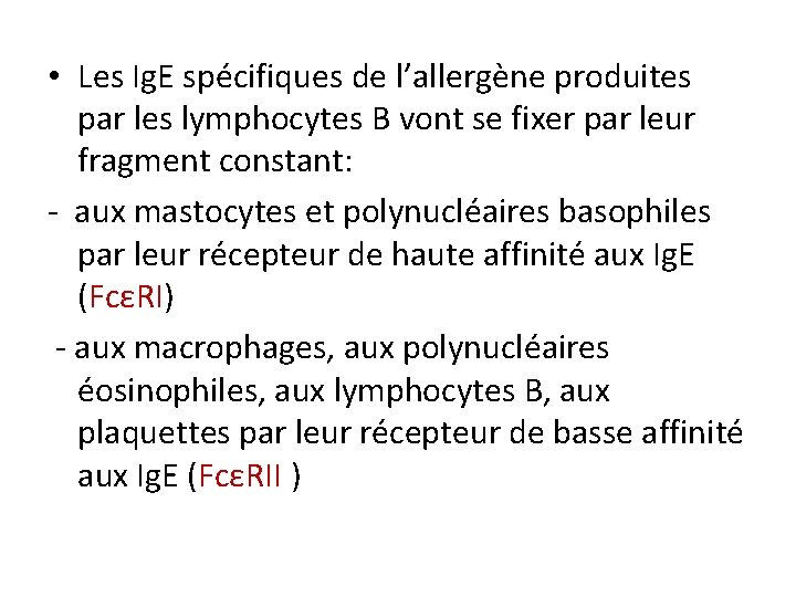  • Les Ig. E spécifiques de l’allergène produites par les lymphocytes B vont