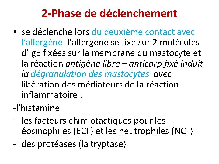 2 -Phase de déclenchement • se déclenche lors du deuxième contact avec l’allergène se