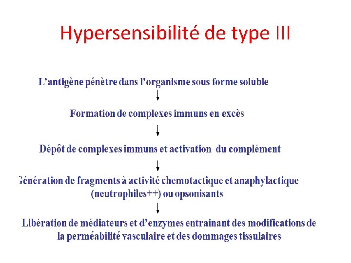 Hypersensibilité de type III 