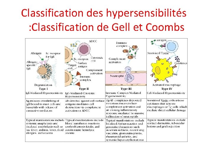 Classification des hypersensibilités : Classification de Gell et Coombs 