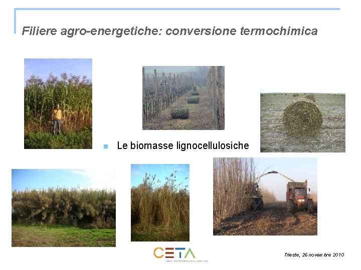 Filiere agro-energetiche: conversione termochimica n Le biomasse lignocellulosiche Trieste, 26 novembre 2010 