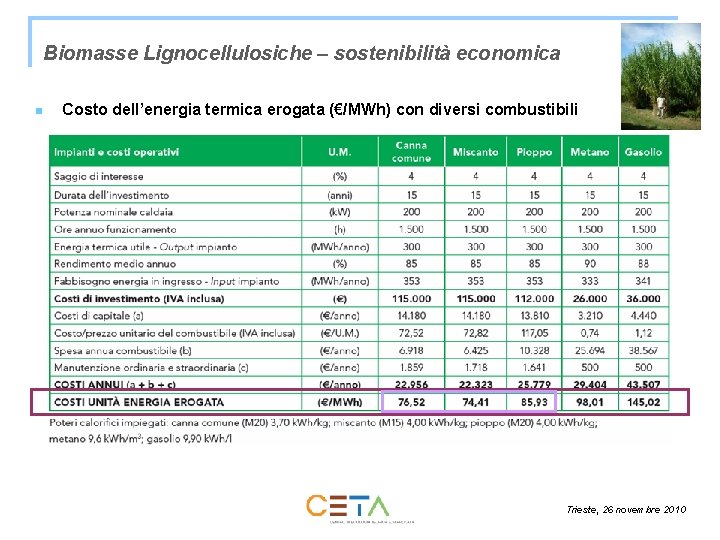 Biomasse Lignocellulosiche – sostenibilità economica n Costo dell’energia termica erogata (€/MWh) con diversi combustibili