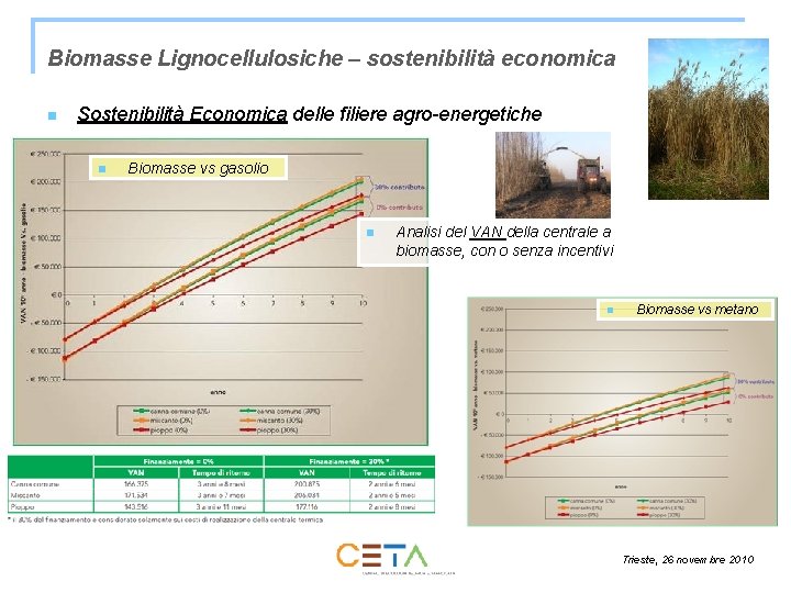 Biomasse Lignocellulosiche – sostenibilità economica n Sostenibilità Economica delle filiere agro-energetiche n Biomasse vs