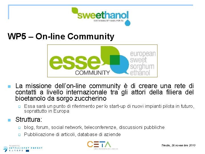 WP 5 – On-line Community n La missione dell’on-line community è di creare una