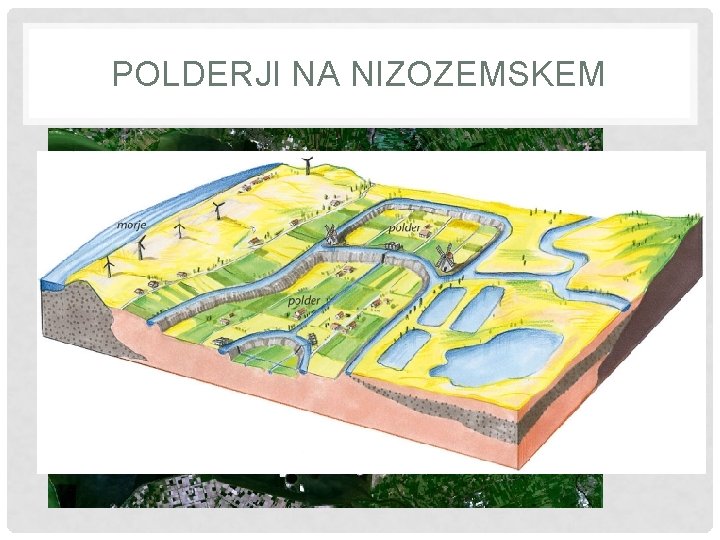 POLDERJI NA NIZOZEMSKEM 