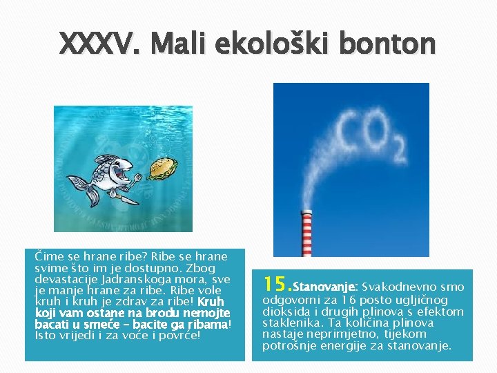 XXXV. Mali ekološki bonton Čime se hrane ribe? Ribe se hrane svime što im XXXV. Mali ekološki bonton Čime se hrane ribe? Ribe se hrane svime što im