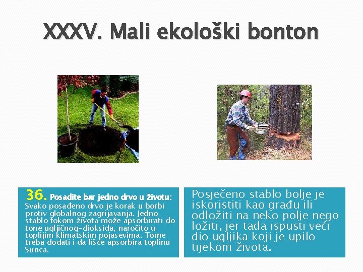 XXXV. Mali ekološki bonton 36. Posadite bar jedno drvo u životu: Svako posađeno drvo XXXV. Mali ekološki bonton 36. Posadite bar jedno drvo u životu: Svako posađeno drvo