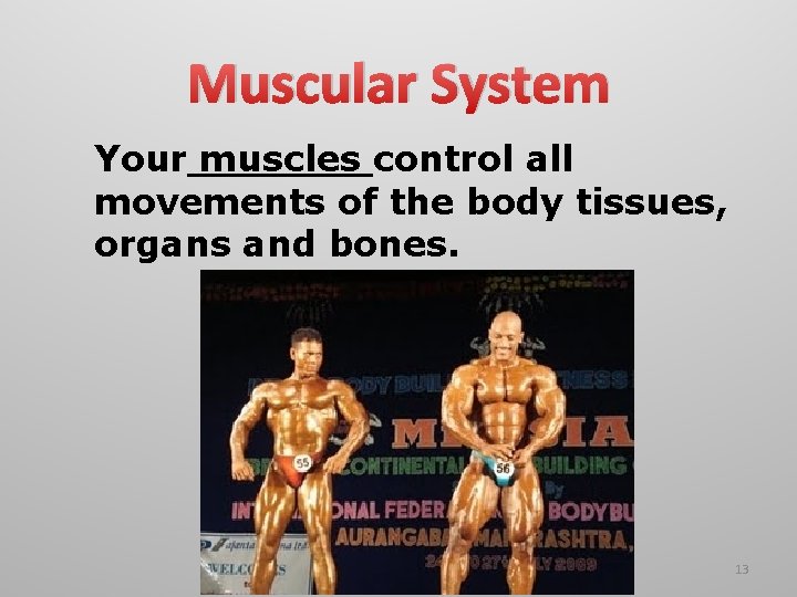 Muscular System Your muscles control all movements of the body tissues, organs and bones. Muscular System Your muscles control all movements of the body tissues, organs and bones.