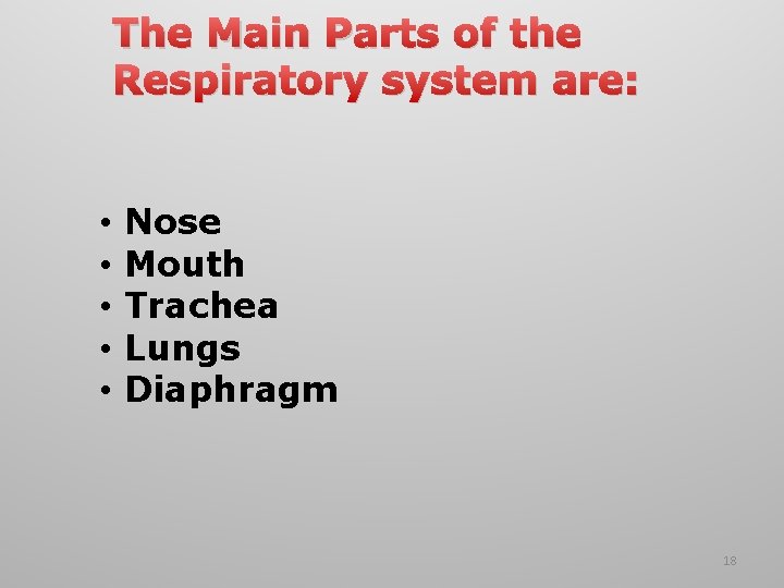 The Main Parts of the Respiratory system are: • • • Nose Mouth Trachea
