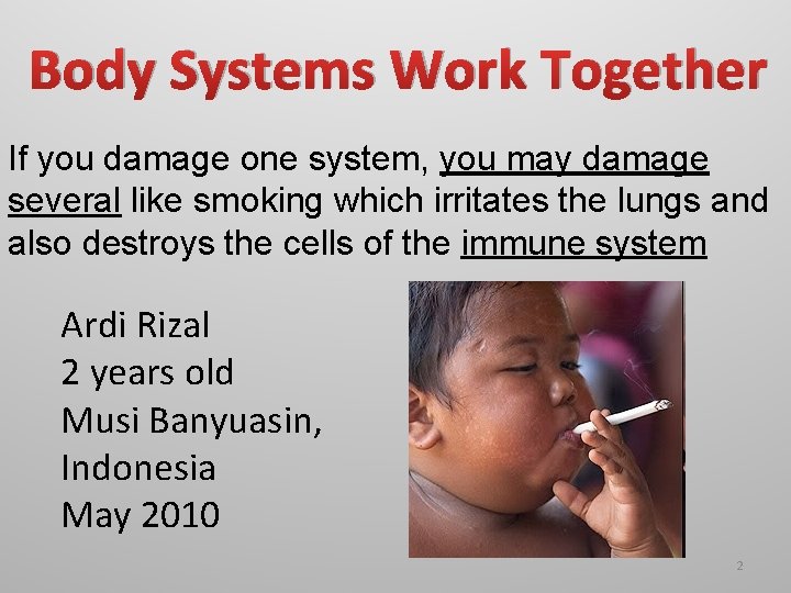 Body Systems Work Together If you damage one system, you may damage several like Body Systems Work Together If you damage one system, you may damage several like