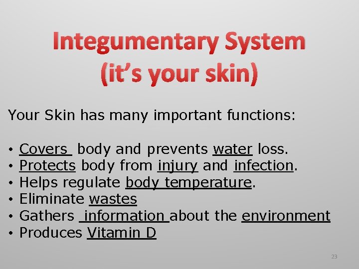 Integumentary System (it’s your skin) Your Skin has many important functions: • • • Integumentary System (it’s your skin) Your Skin has many important functions: • • •