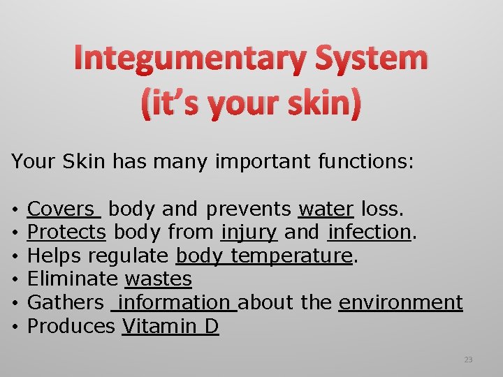 Integumentary System (it’s your skin) Your Skin has many important functions: • • •