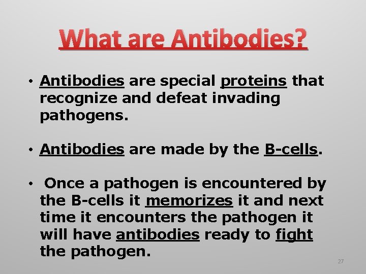 What are Antibodies? • Antibodies are special proteins that recognize and defeat invading pathogens.