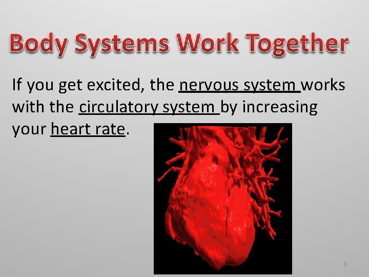If you get excited, the nervous system works with the circulatory system by increasing