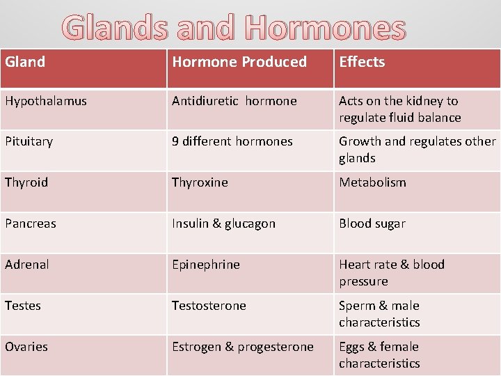 Glands and Hormones Gland Hormone Produced Effects Hypothalamus Antidiuretic hormone Acts on the kidney