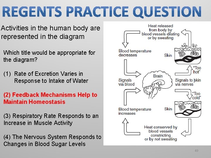 Activities in the human body are represented in the diagram Which title would be