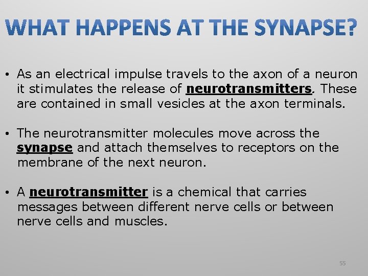  • As an electrical impulse travels to the axon of a neuron it