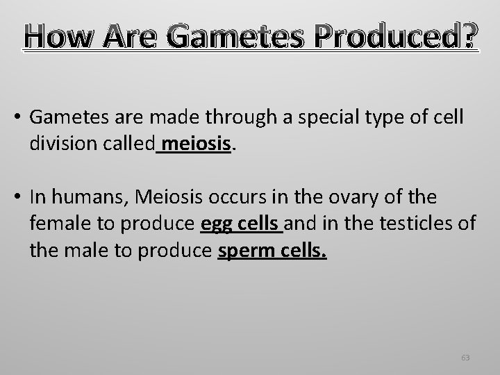 How Are Gametes Produced? • Gametes are made through a special type of cell