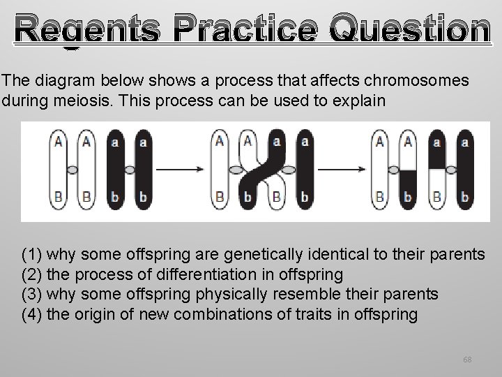 Regents Practice Question The diagram below shows a process that affects chromosomes during meiosis. Regents Practice Question The diagram below shows a process that affects chromosomes during meiosis.
