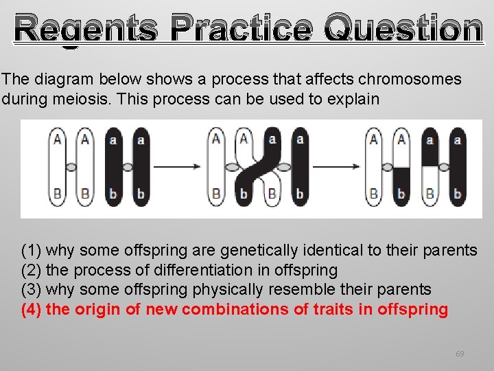 Regents Practice Question The diagram below shows a process that affects chromosomes during meiosis. Regents Practice Question The diagram below shows a process that affects chromosomes during meiosis.