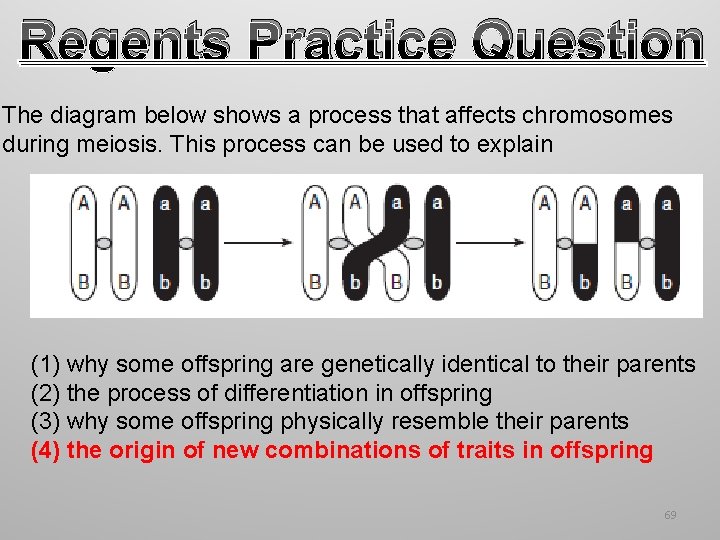 Regents Practice Question The diagram below shows a process that affects chromosomes during meiosis.