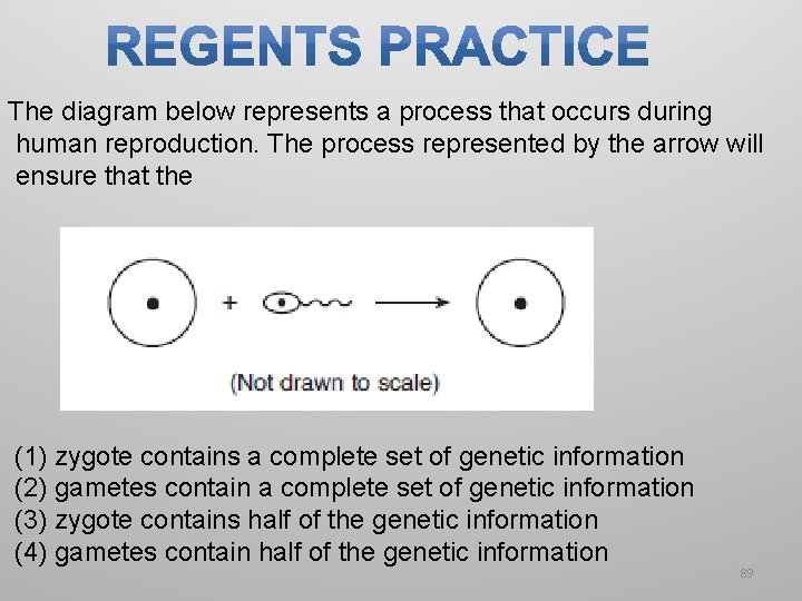 The diagram below represents a process that occurs during human reproduction. The process represented