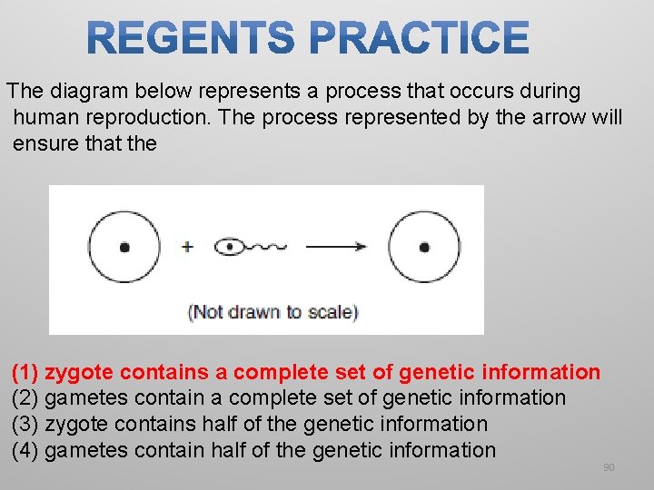 The diagram below represents a process that occurs during human reproduction. The process represented