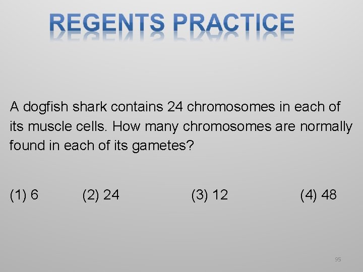A dogfish shark contains 24 chromosomes in each of its muscle cells. How many A dogfish shark contains 24 chromosomes in each of its muscle cells. How many