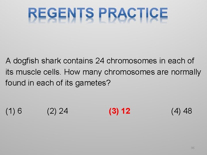 A dogfish shark contains 24 chromosomes in each of its muscle cells. How many A dogfish shark contains 24 chromosomes in each of its muscle cells. How many