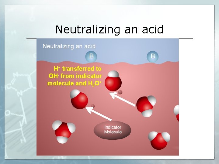 Neutralizing an acid H+ transferred to OH- from indicator molecule and H 3 O+