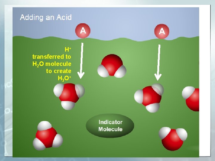 H+ transferred to H 2 O molecule to create H 3 O + 