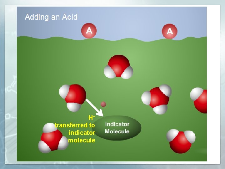H+ transferred to indicator molecule 