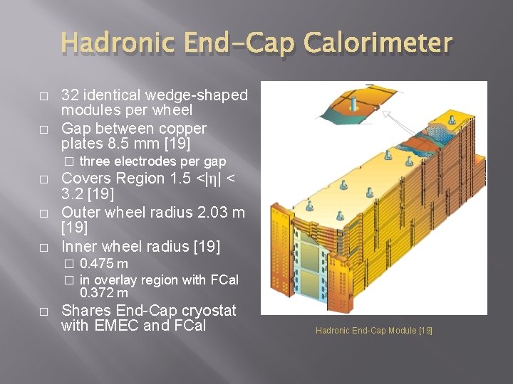 Hadronic End-Cap Calorimeter � � 32 identical wedge-shaped modules per wheel Gap between copper