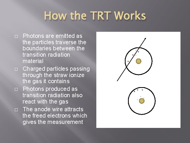 How the TRT Works � � Photons are emitted as the particles traverse the