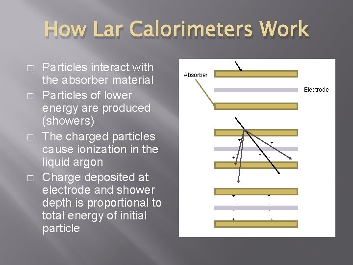 How Lar Calorimeters Work � � Particles interact with the absorber material Particles of